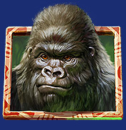 Gagnez des gains en argent réel sur la slot Gorilla Kingdom !