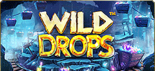 Machine à sous vidéo Wild Drops