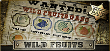 Machine à sous vidéo Wild Fruit